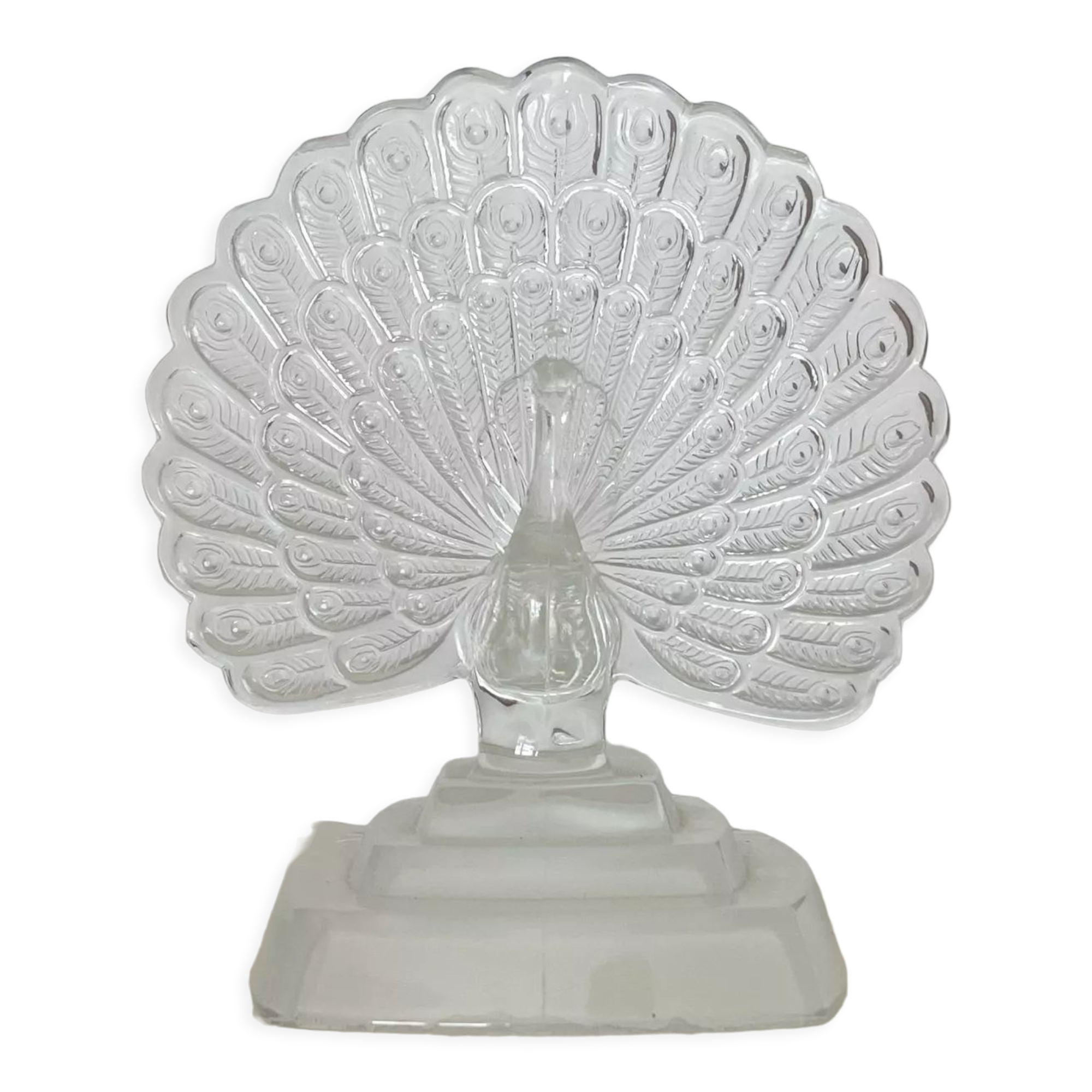 Crystal peacock book greenhouse