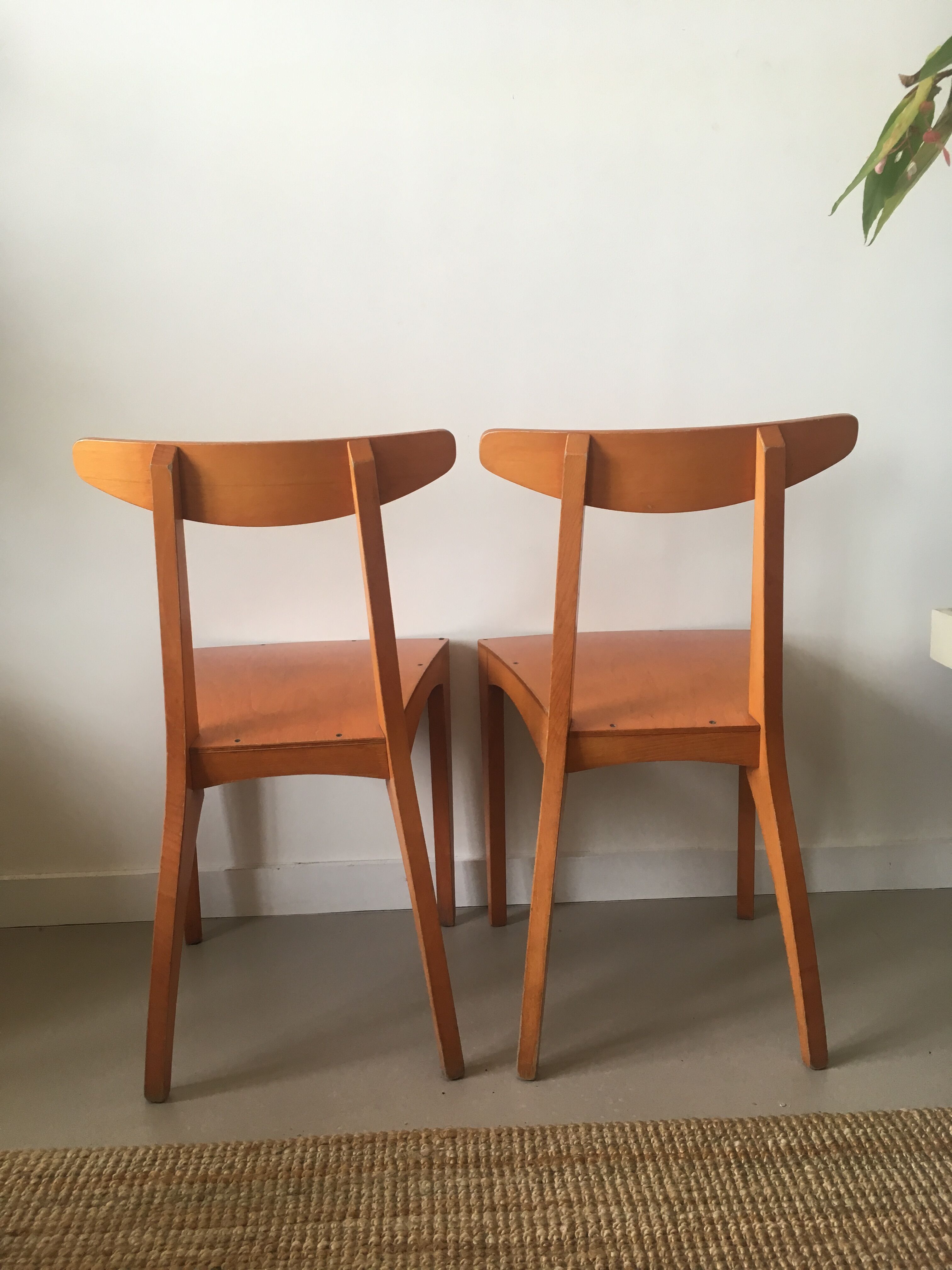 Lot of 2 Zina chairs by Thibault Desombre