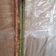 Old Burmese teak mirror with beautiful blue polychromy & original ecru 89x149cm