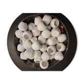 Snail service, set of 48 porcelain shells