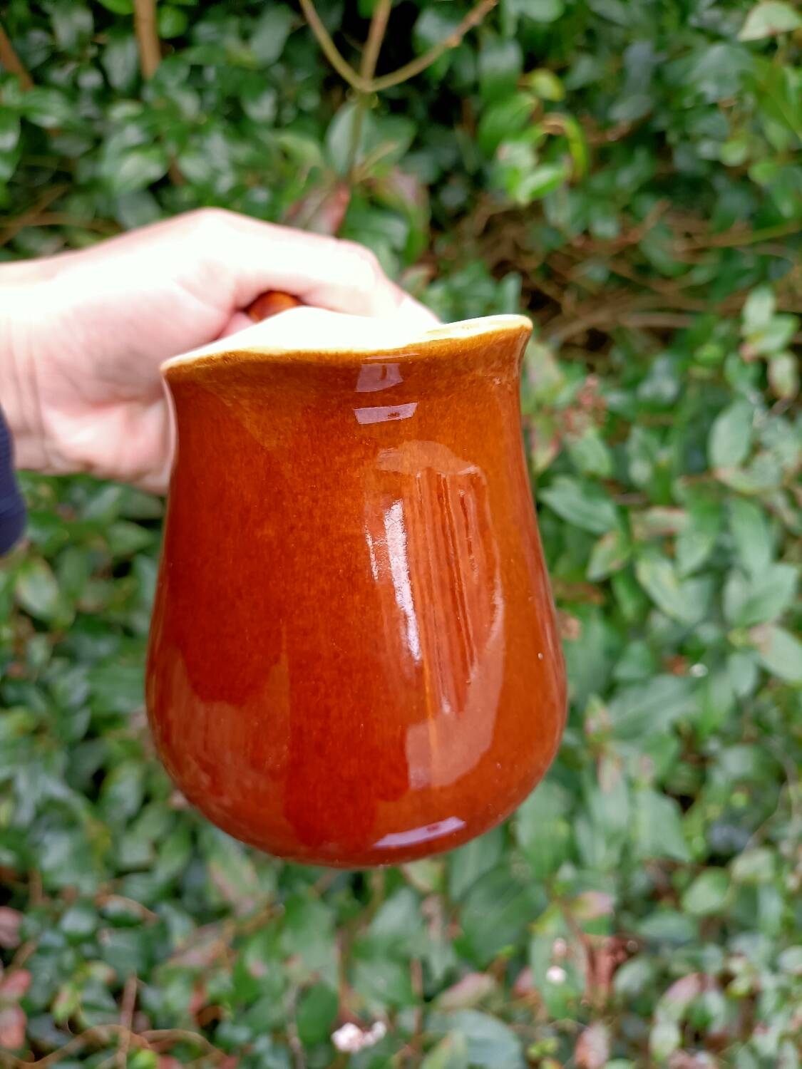 Retro ceramic milk jugs 💐