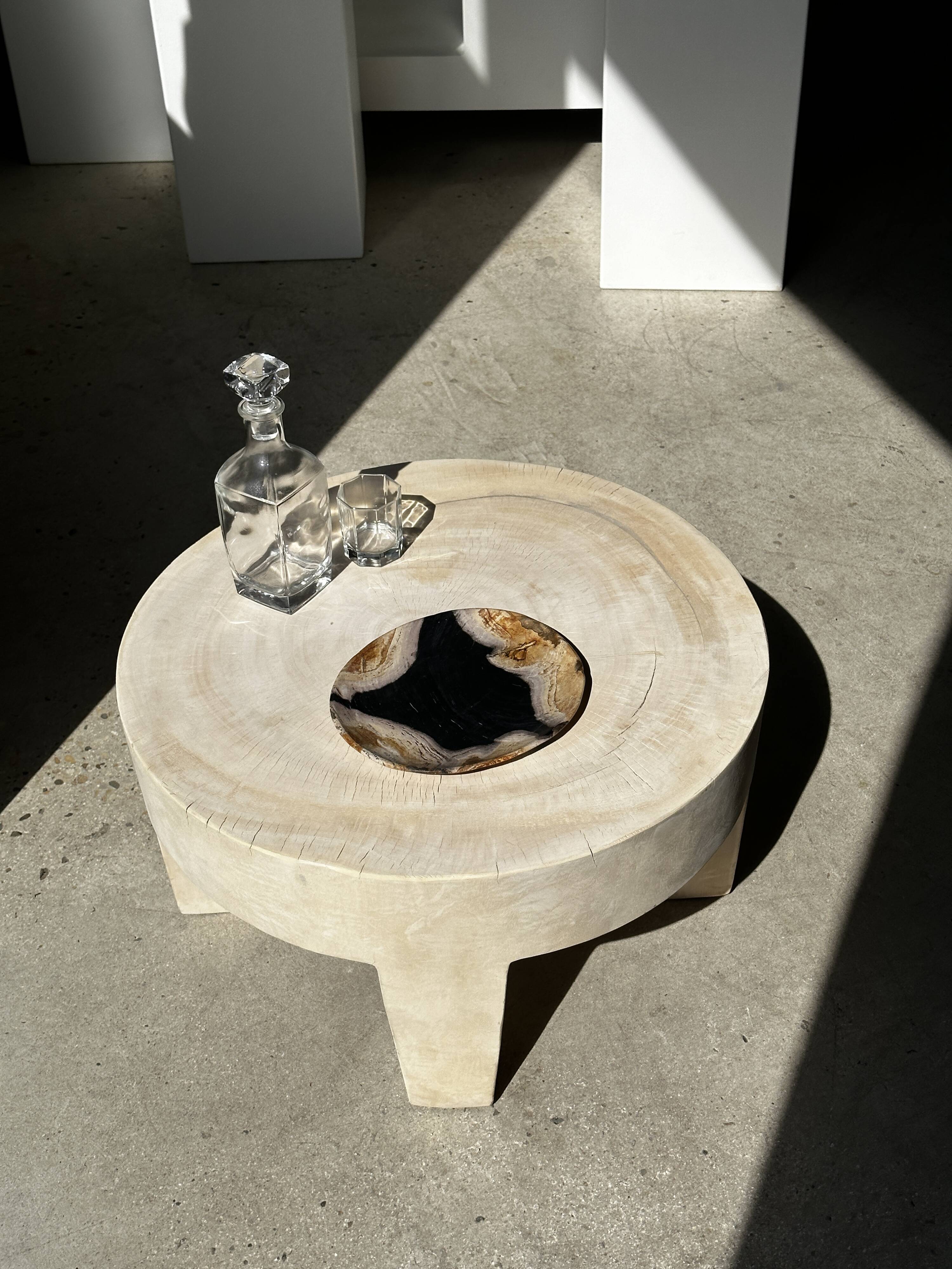 Empty pocket or dish in medium petrified wood