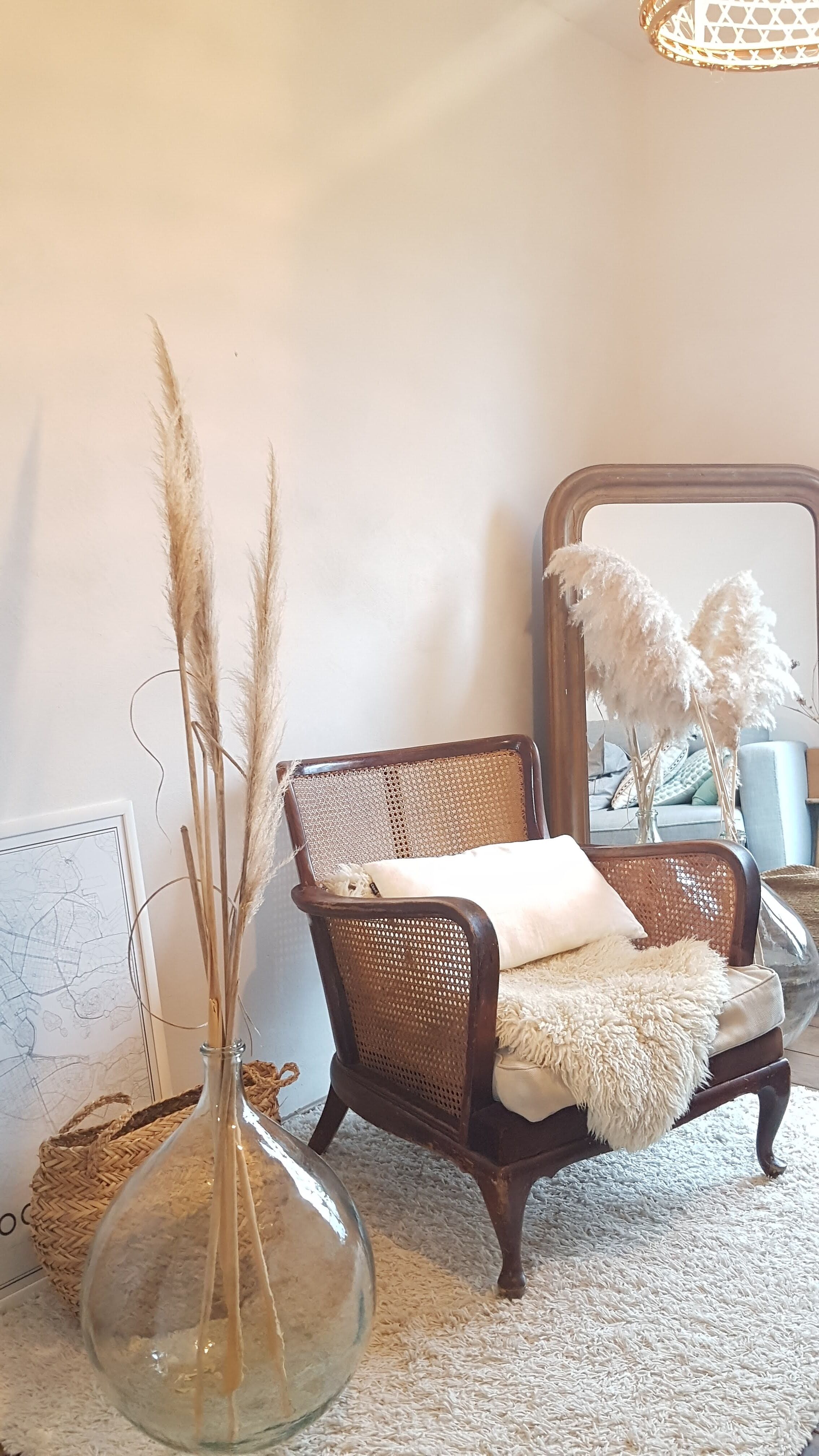 Steiner canna armchair