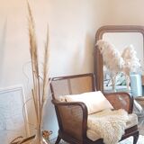 Steiner canna armchair