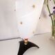 Rockabilly side lamp, perspex and brass, Pierre Guariche style, 1950