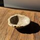 Round beige petrified wood bowl D21- 3780