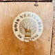Compass leg chest of drawers in fig tree green