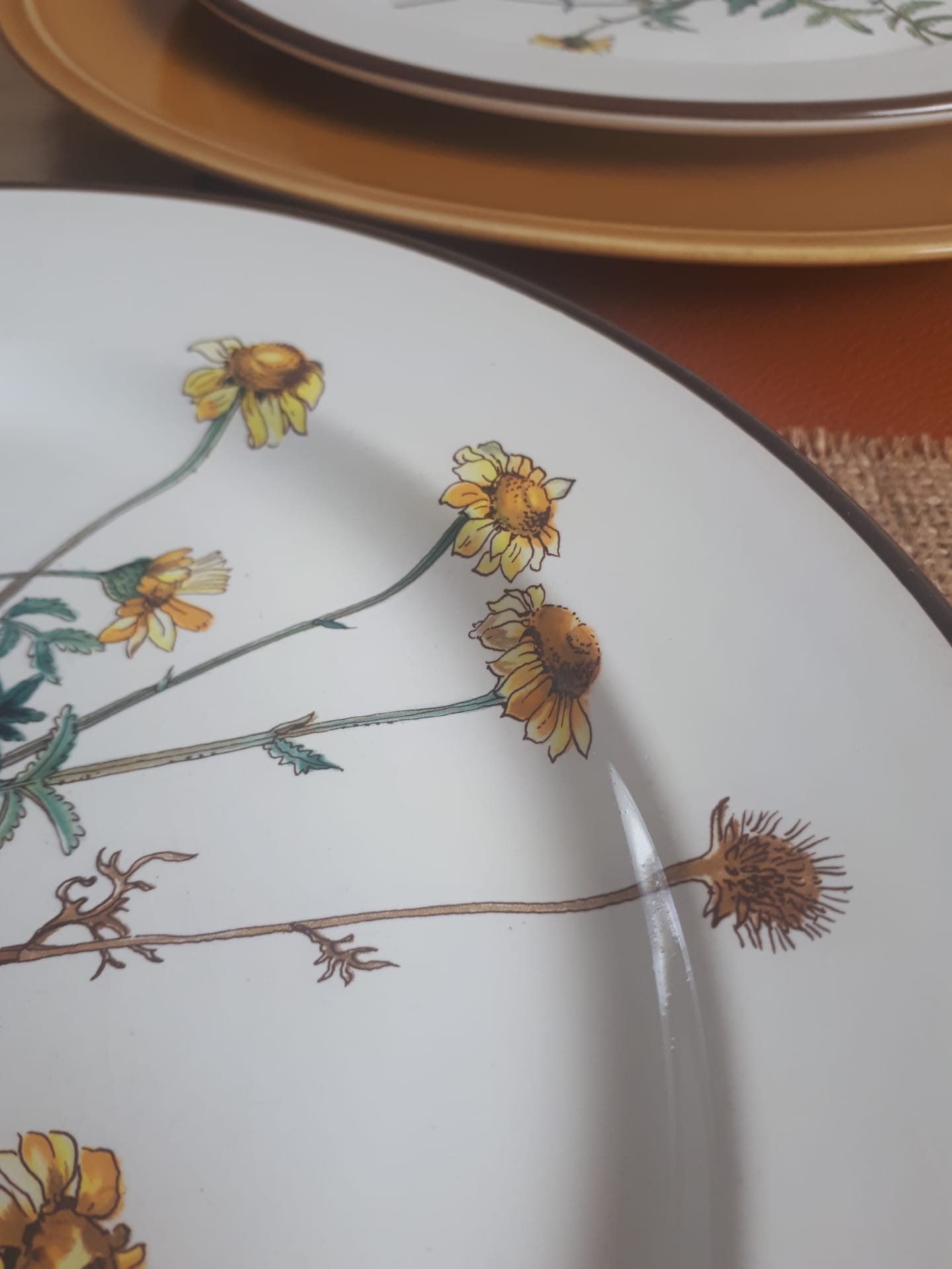 Lot of 4 flat plates "Anthemis" from the service "Botanica" of Boch