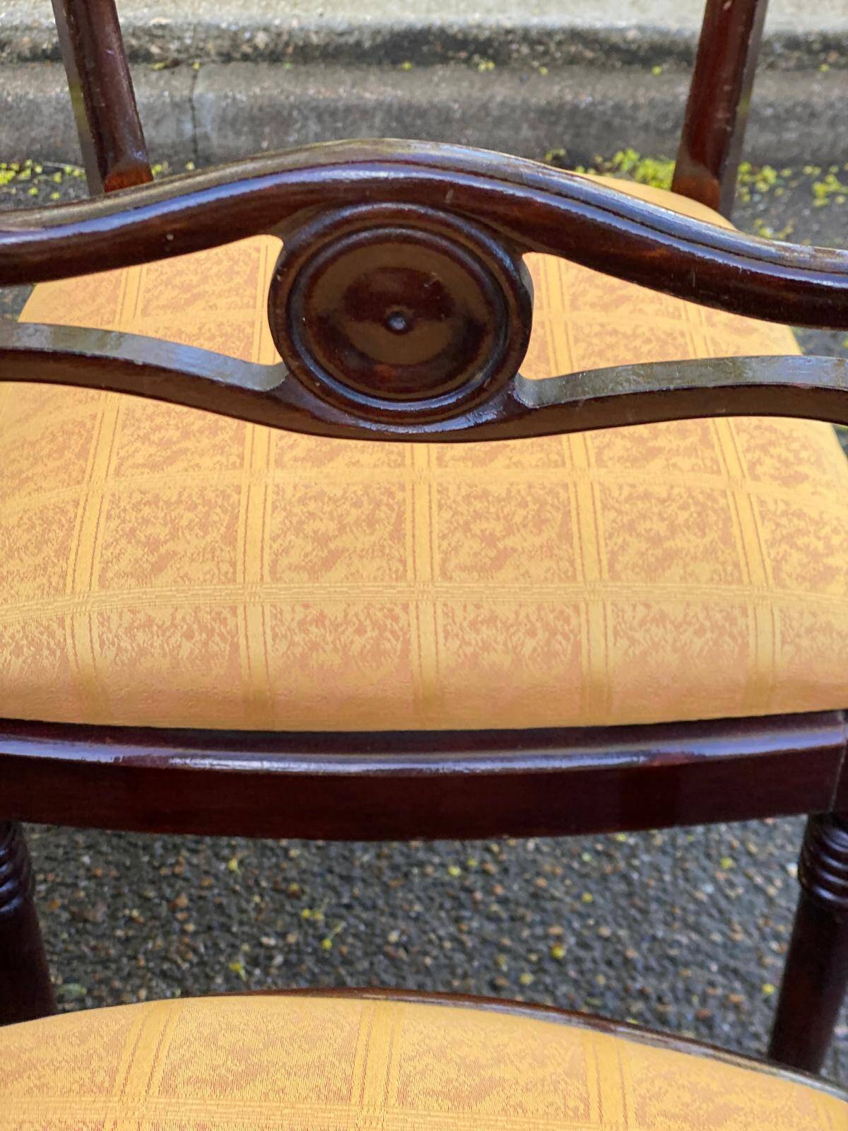 6 dining chairs made of solid mahogany in Regency style with yellow fabric.