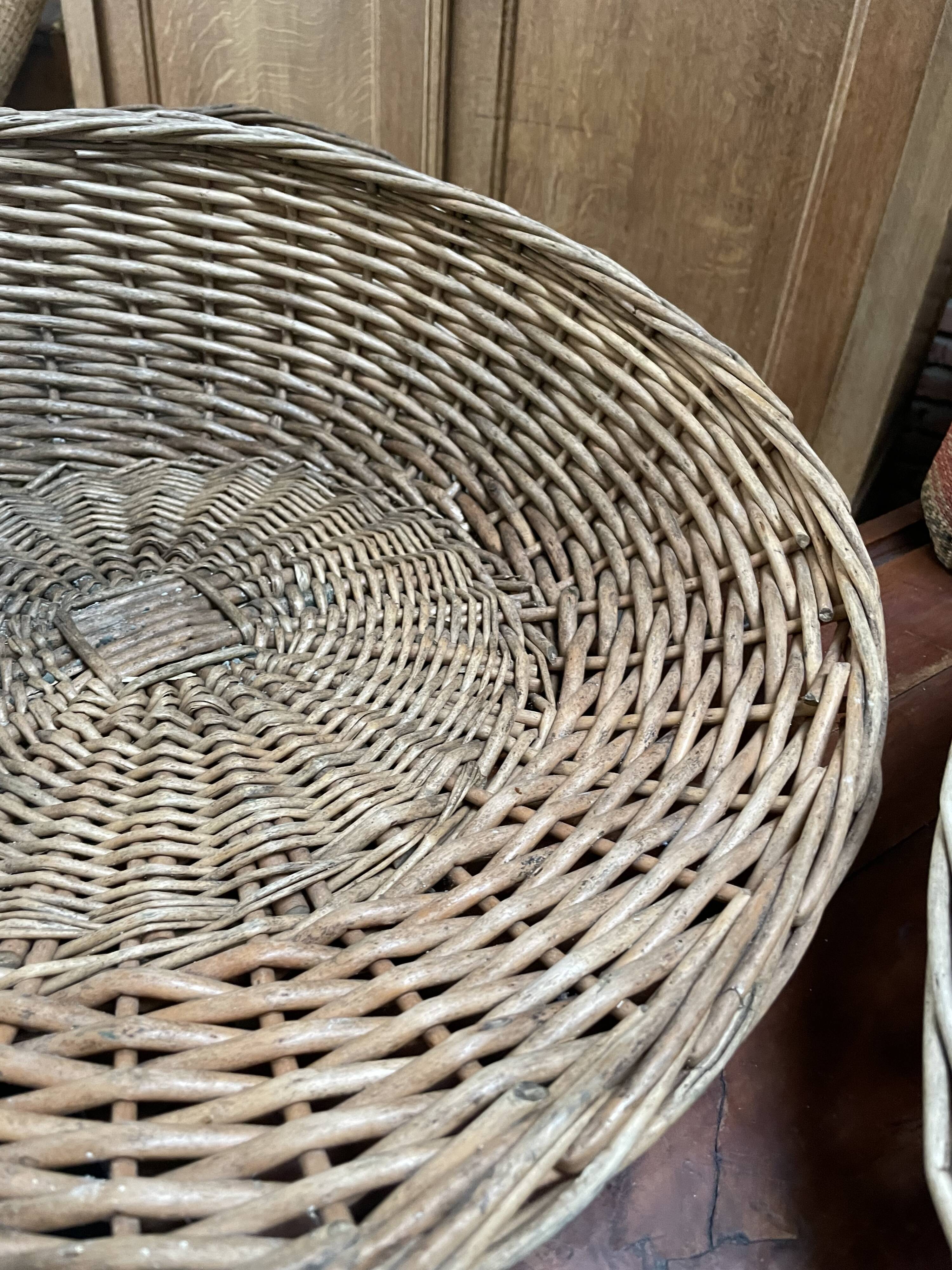 Baskets Alphonse and Arsène