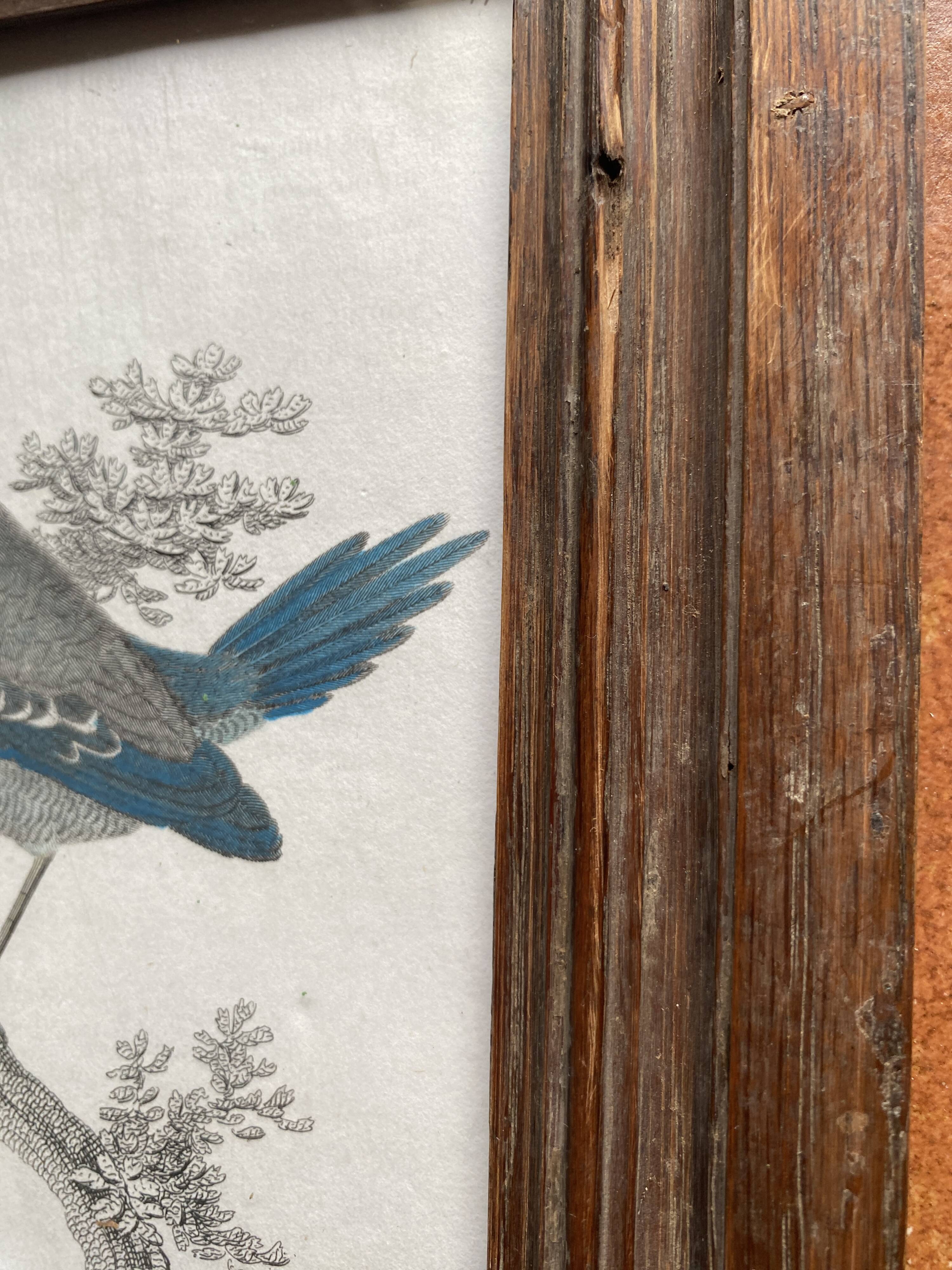 Gravure anglaise 19e, cadre bois vitré