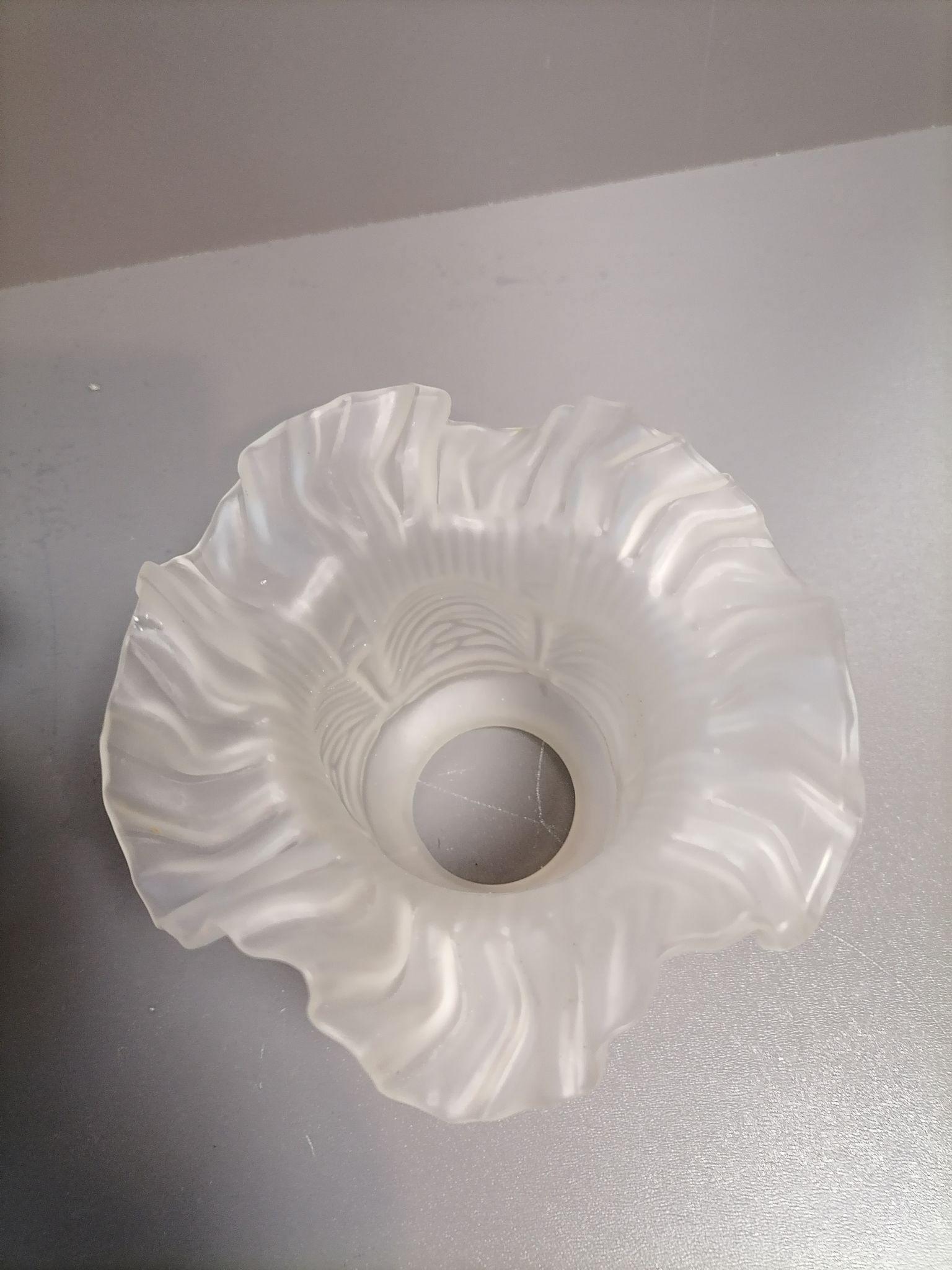 Tulip for Opaque Glass Chandelier