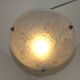 Signed Muller Frères Lunéville Art Deco Ceiling Light Flying Bird Detail