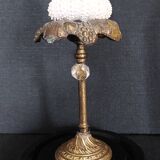 Cabinet of Curiosities globe with sea urchin paracentrotus lividus