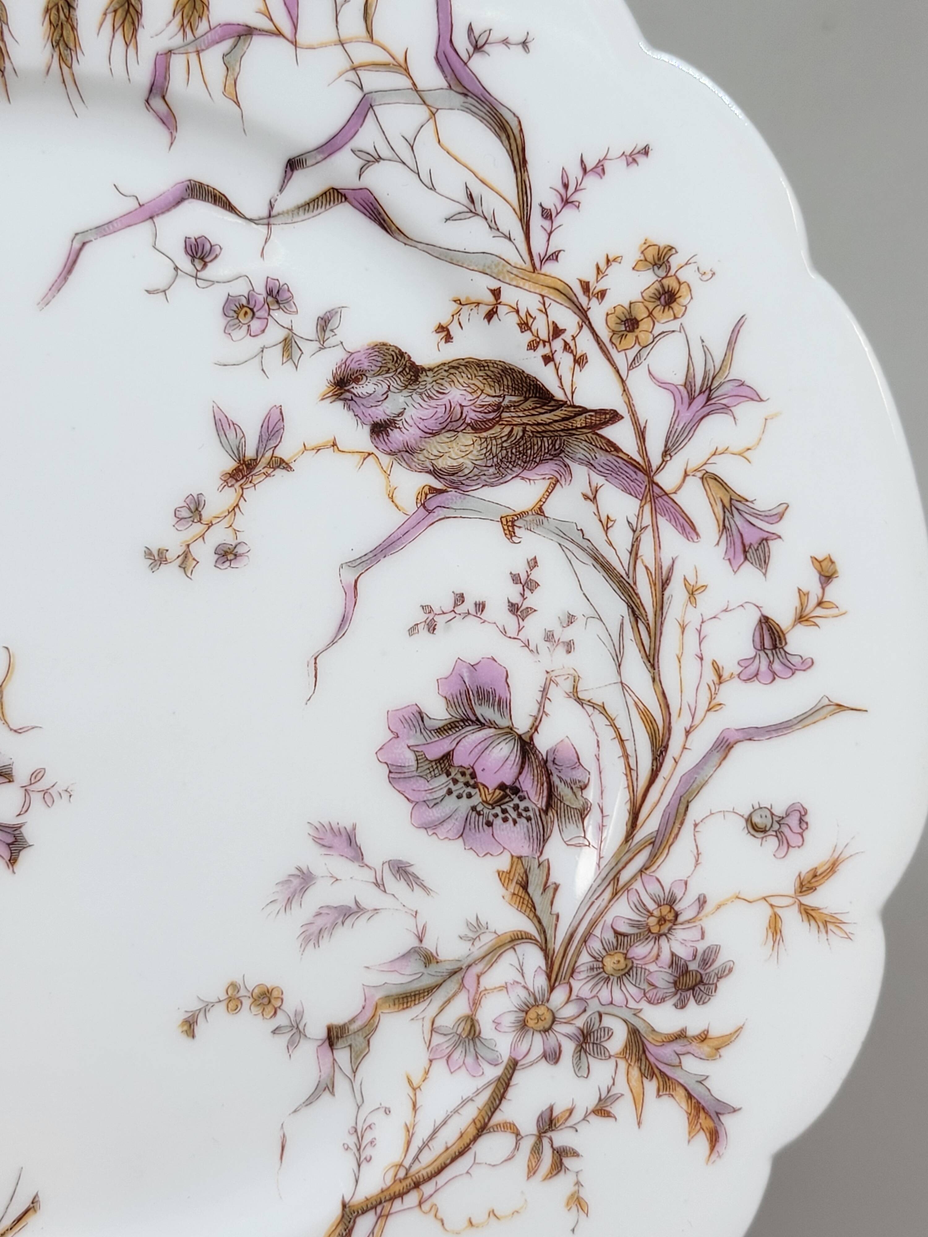 6 Superb Antique 19th Century White Porcelain Plates with Bird Decor