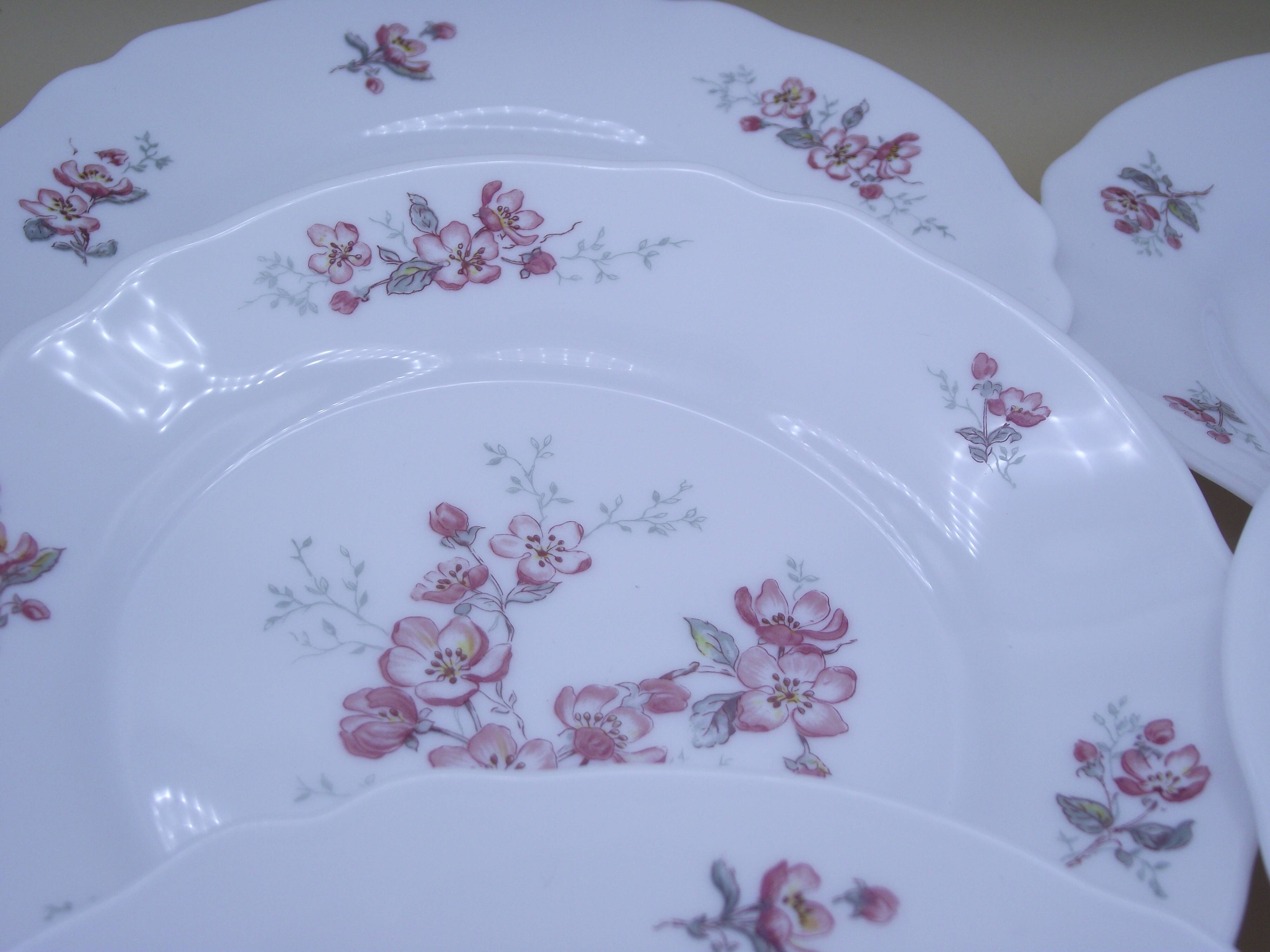 Lot of 9 dessert plates Arcopal France