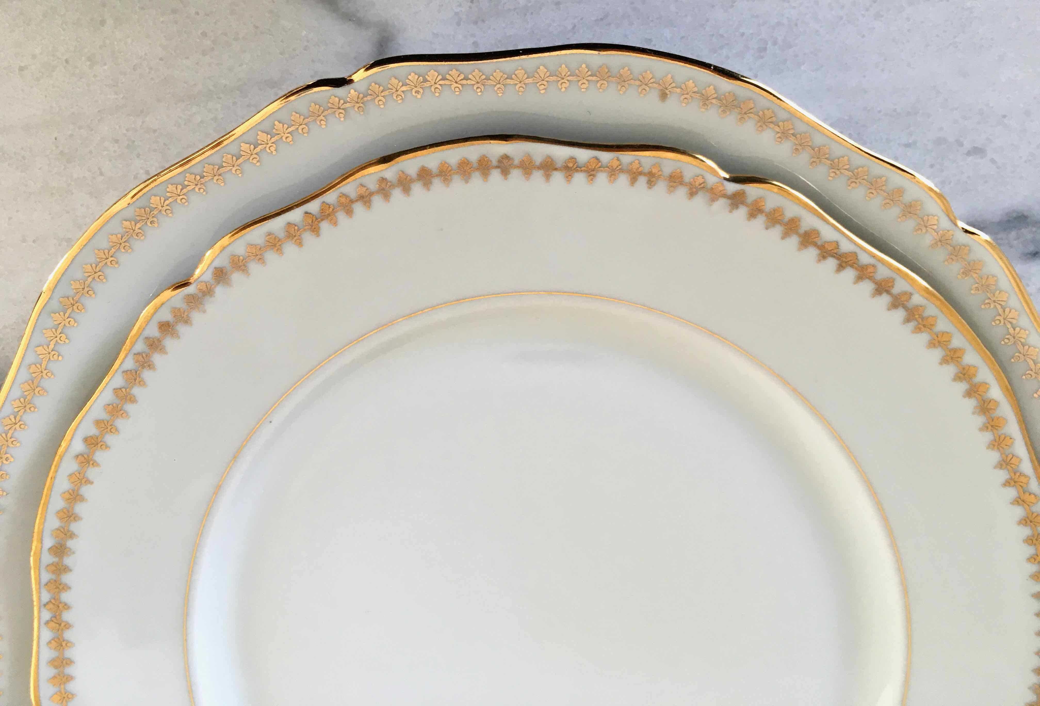 Set 12 plates and 3 dishes porcelain of Sologne