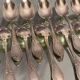 Suite of 12 small silver metal spoons in Louis XV style