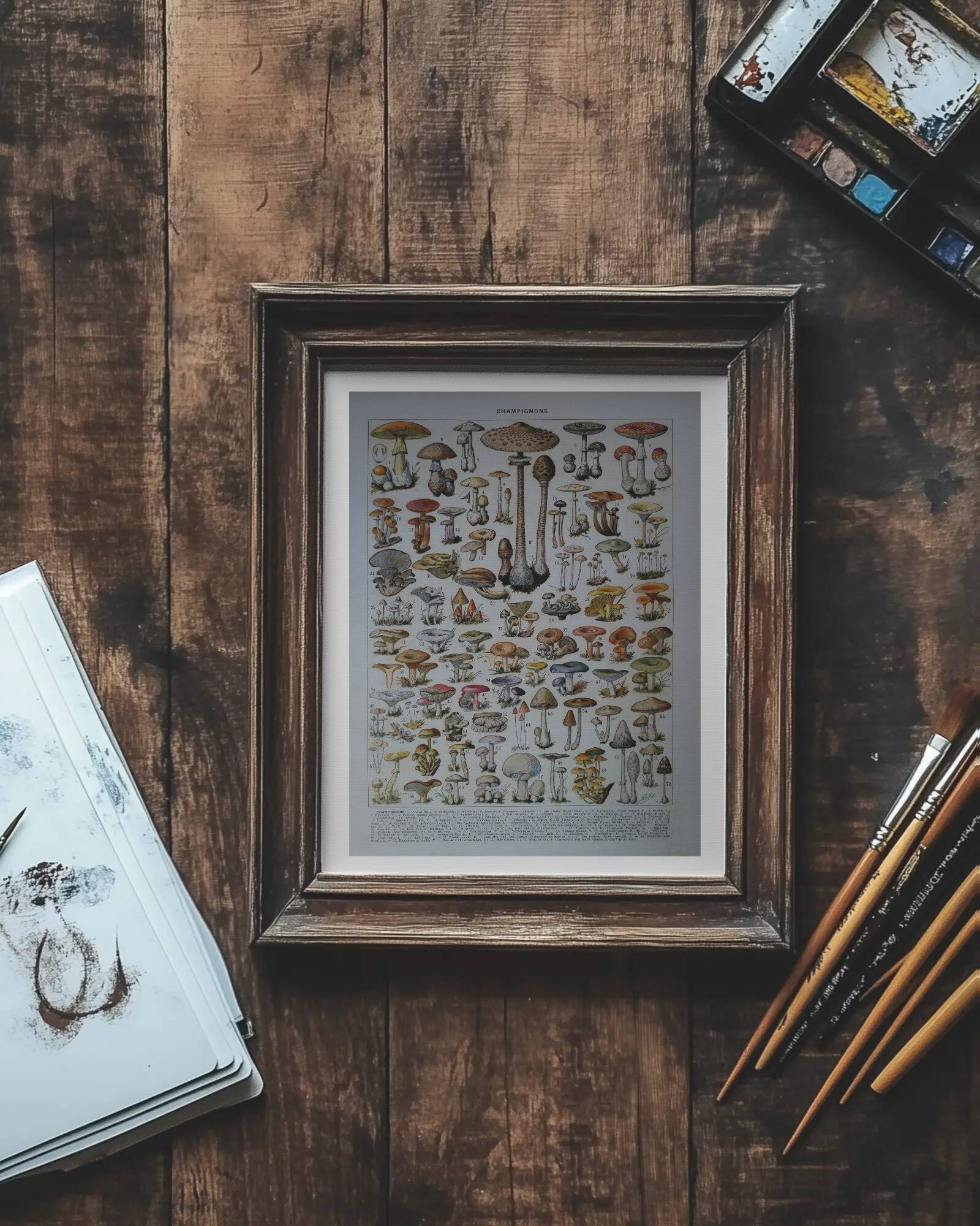 Original lithograph on mushrooms