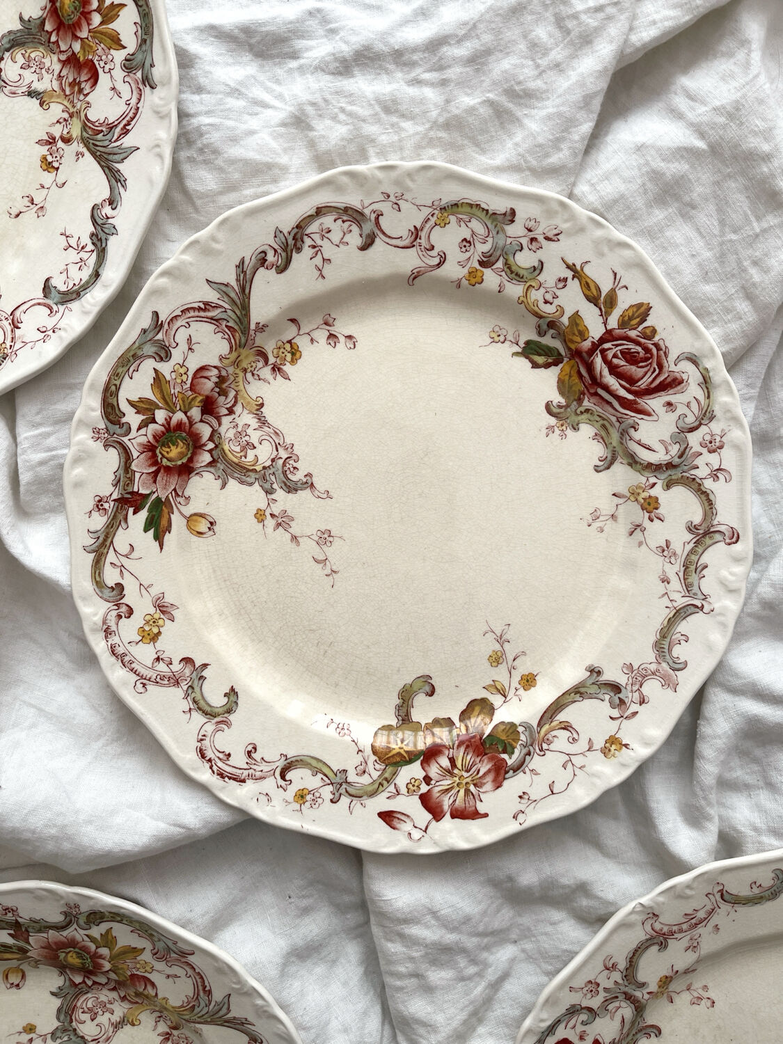 6 polychrome ironstone dinner plates "Wentworth" by Emile Bourgeois