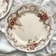 6 polychrome ironstone dinner plates "Wentworth" by Emile Bourgeois