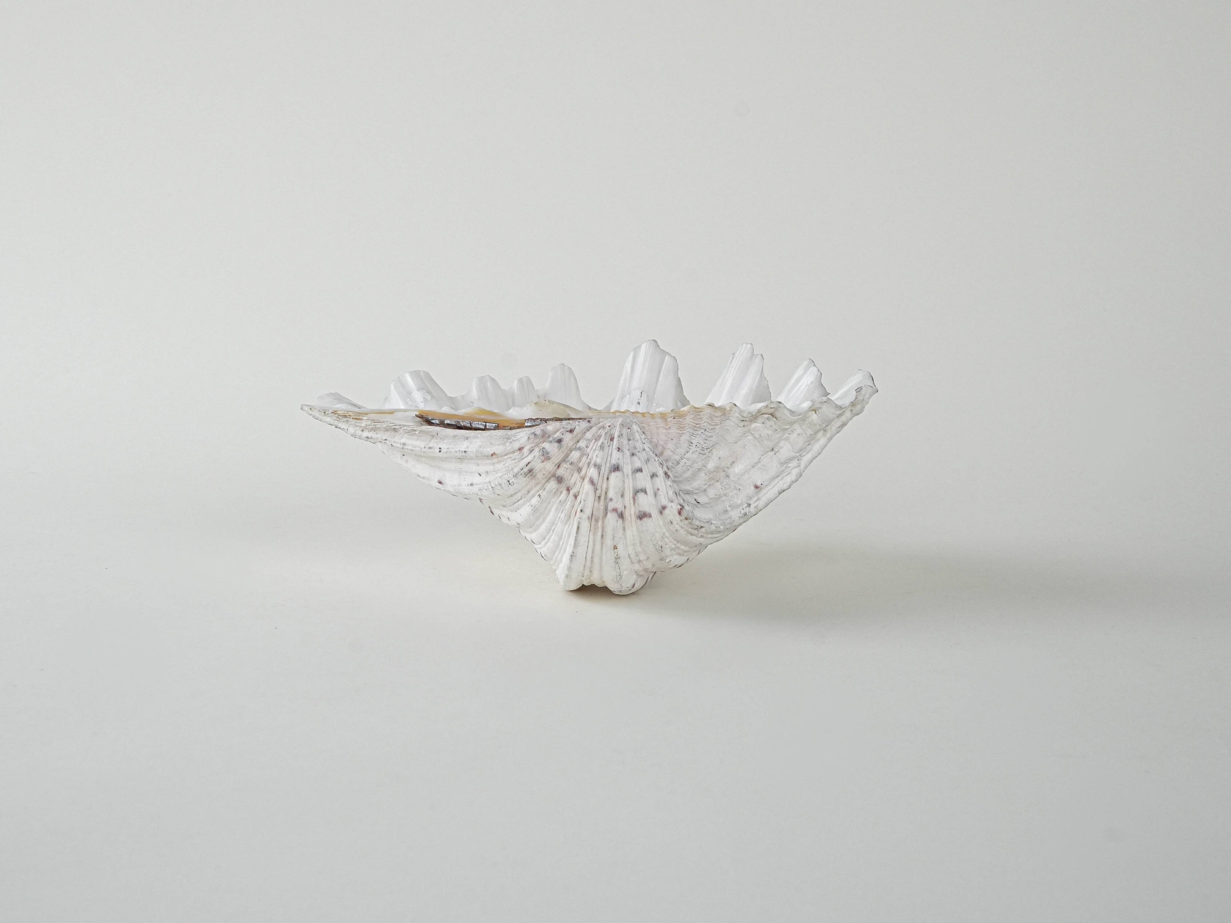 Decorative Triton seashell, boho style, 1980s
