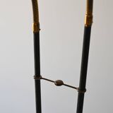 Floor lamp with two points of light