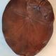 Old empty wooden pocket Art Nouveau butterfly décor