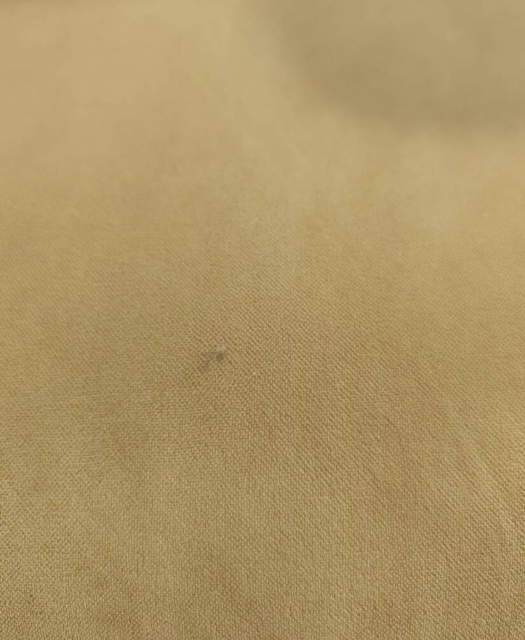Senior armchair by Marco Zanuso for Arflex, camel velvet