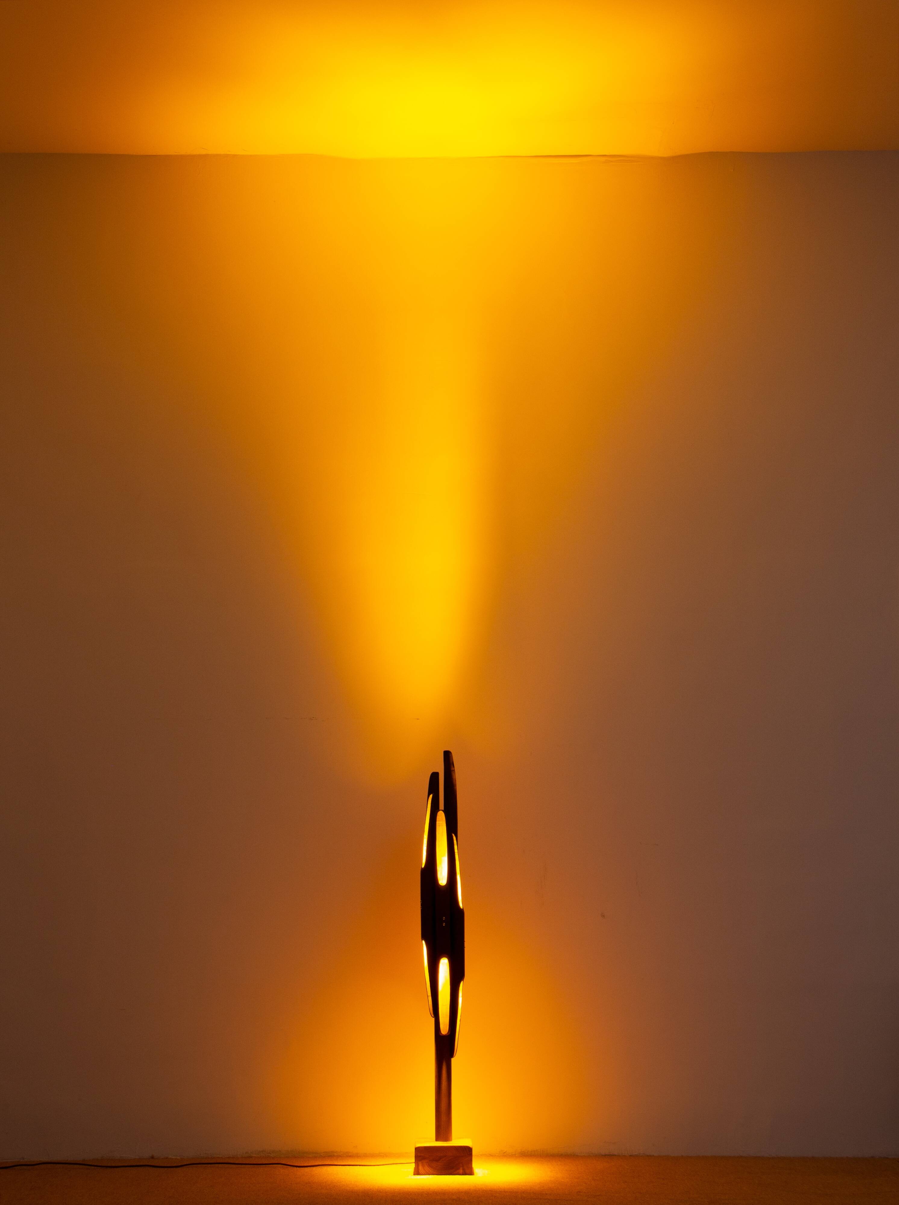 Sculptural Solid Wood Floor Lamp Collectible Design Modern Light, YEARNING