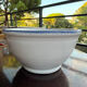 Salad bowl