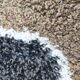 Design carpet