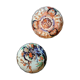 Lot of two plates made of earthenware Imari Japan