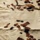 Vintage cowhide carpet 1970 2m30x1m90