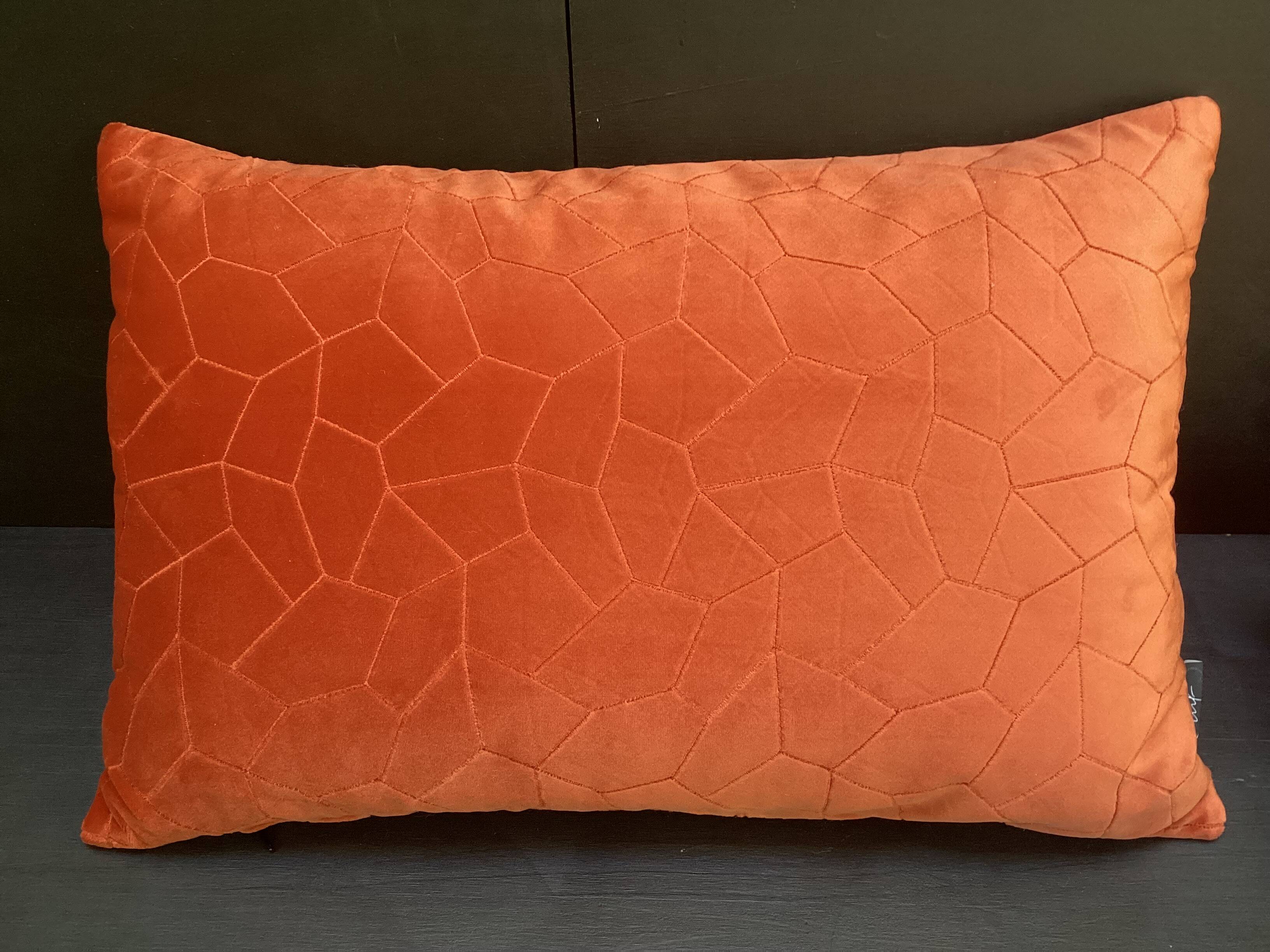 Duo of rust velvet cushions 50x50/40x58 cm