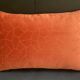 Duo of rust velvet cushions 50x50/40x58 cm