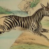 Original zoological plank "Lama - Vigogne - Zebra" Buffon 1848