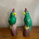 Pair of parrots
