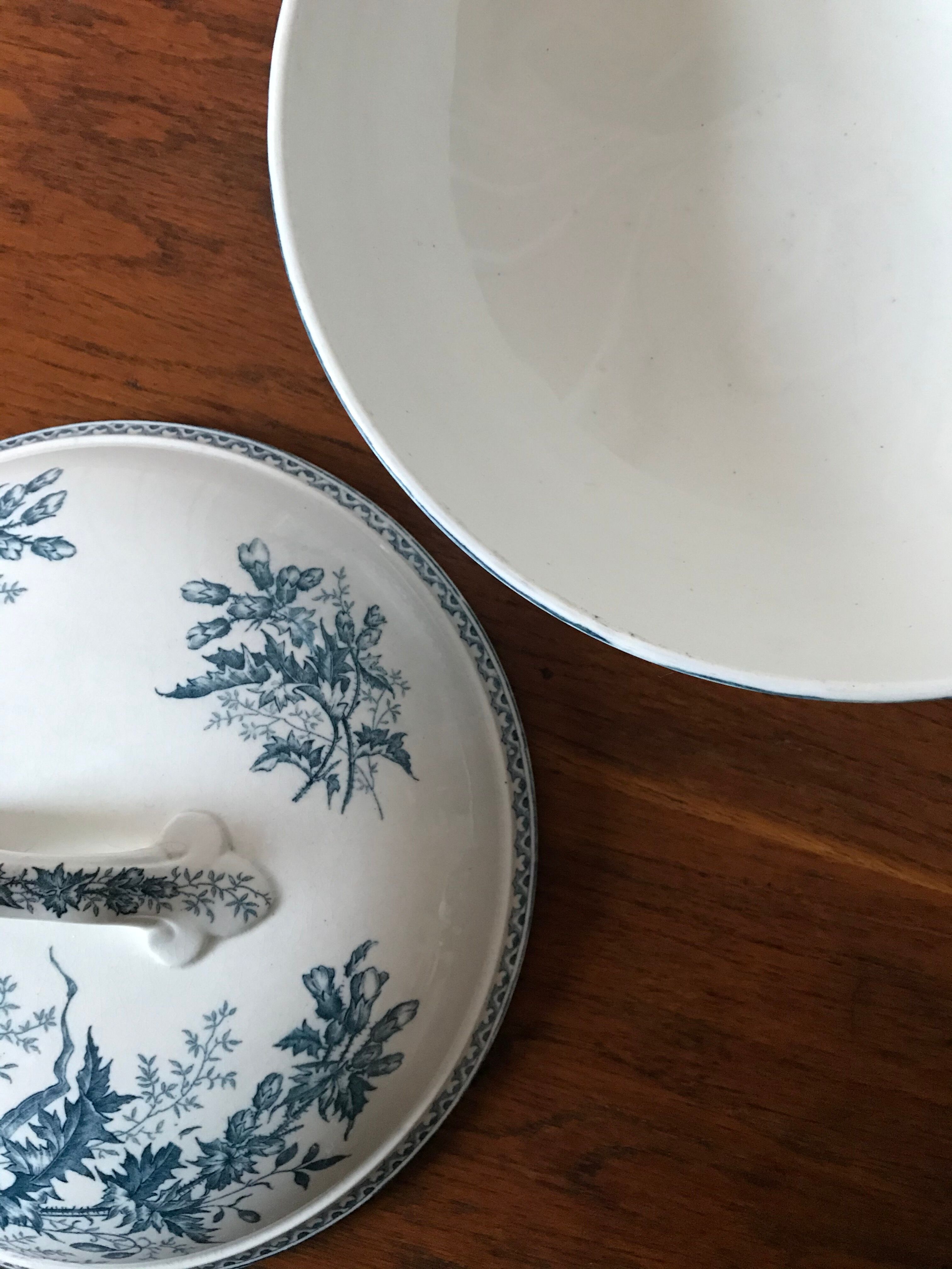 Thistle Iron Earth Soup