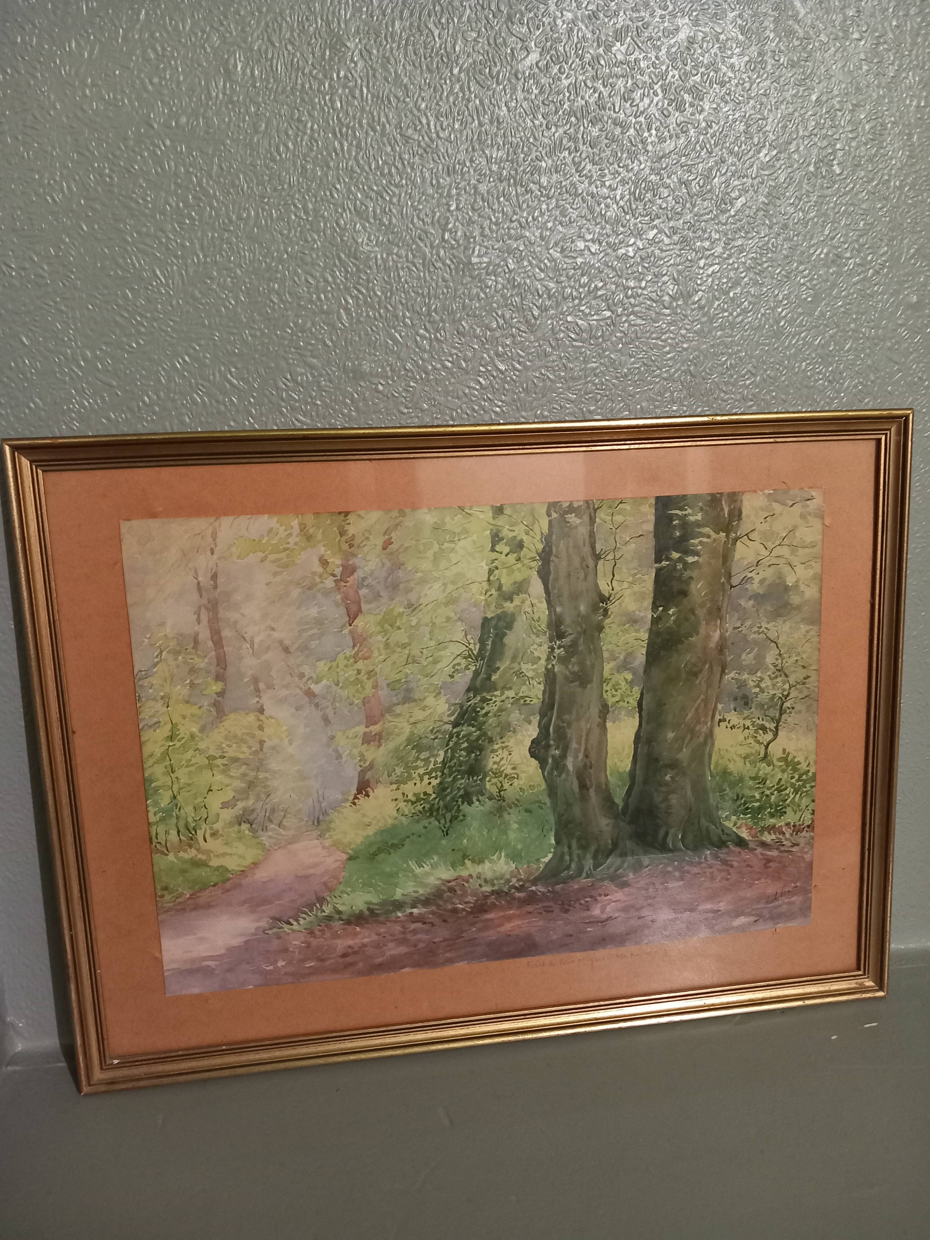 Old table-forest landscape