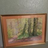 Old table-forest landscape