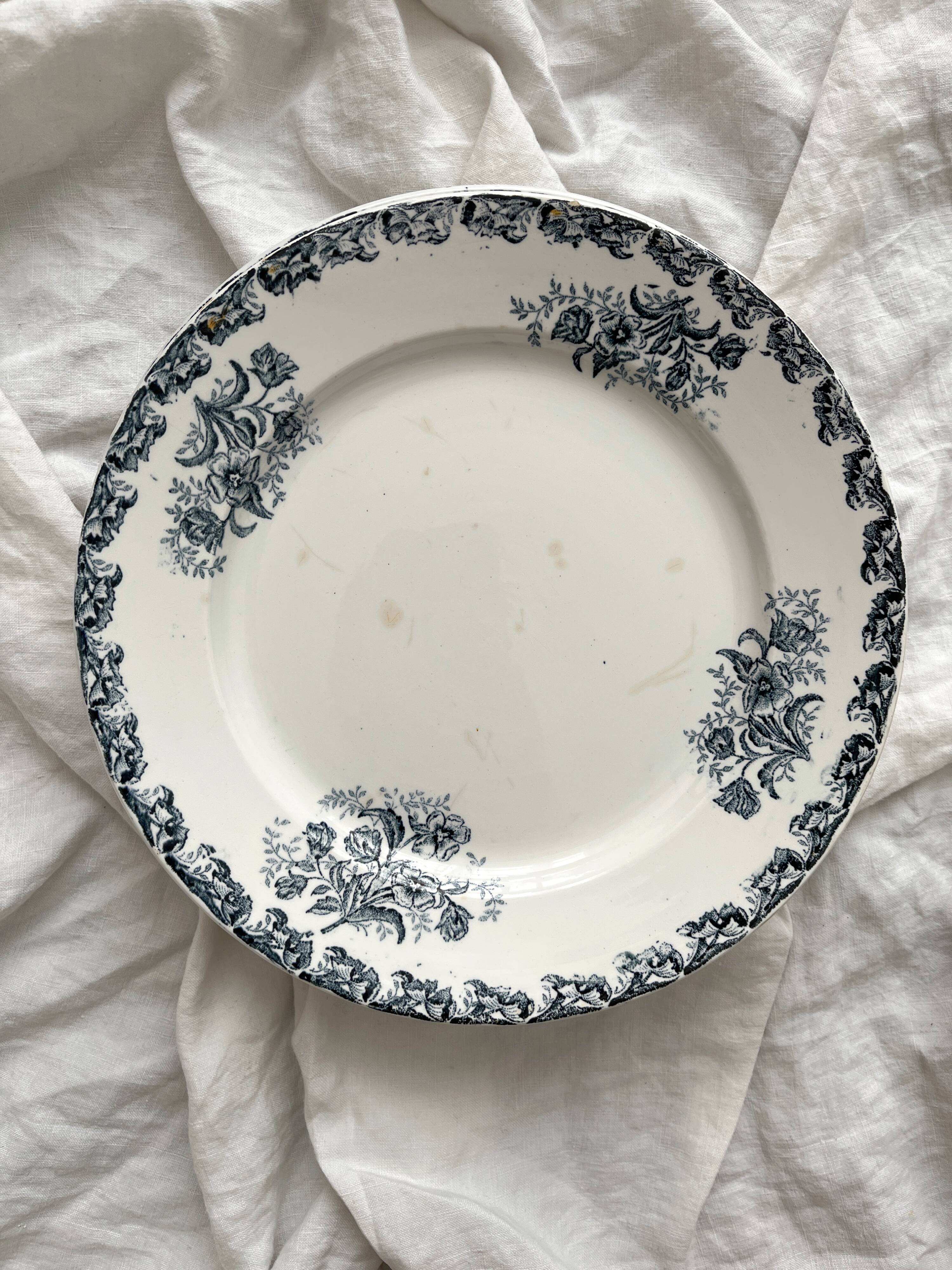 6 flat ironware plates "Albert" AG Clairefontaine