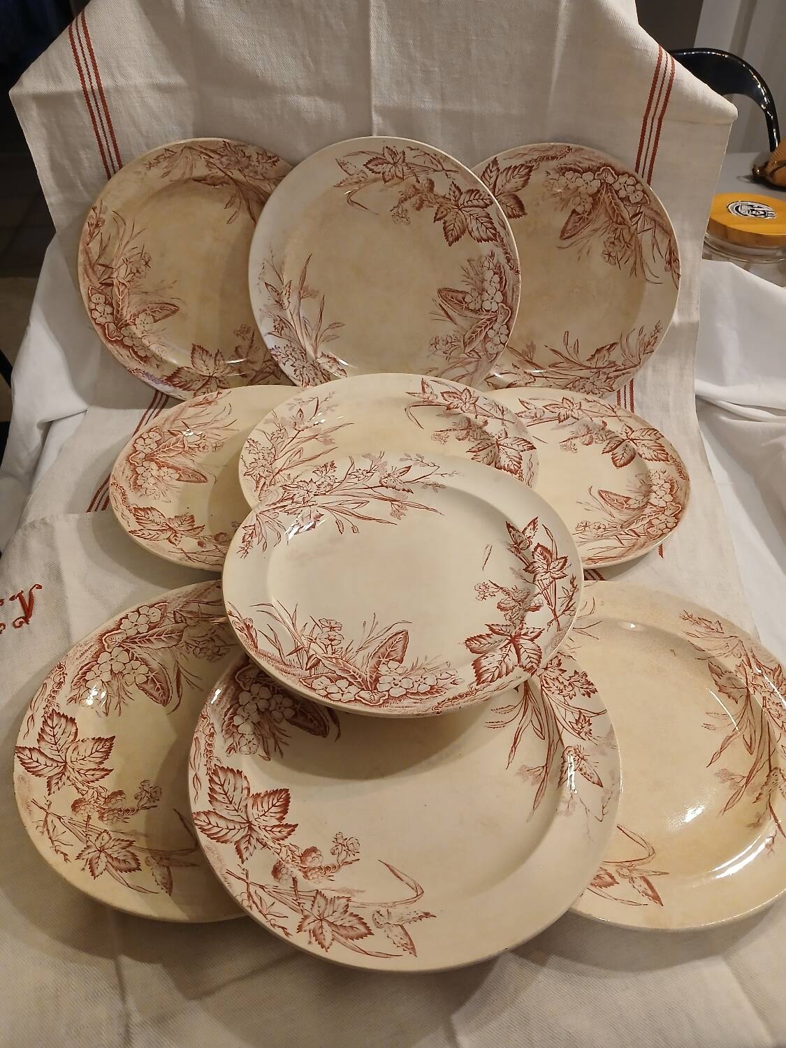 10 antique ironstone dinner plates