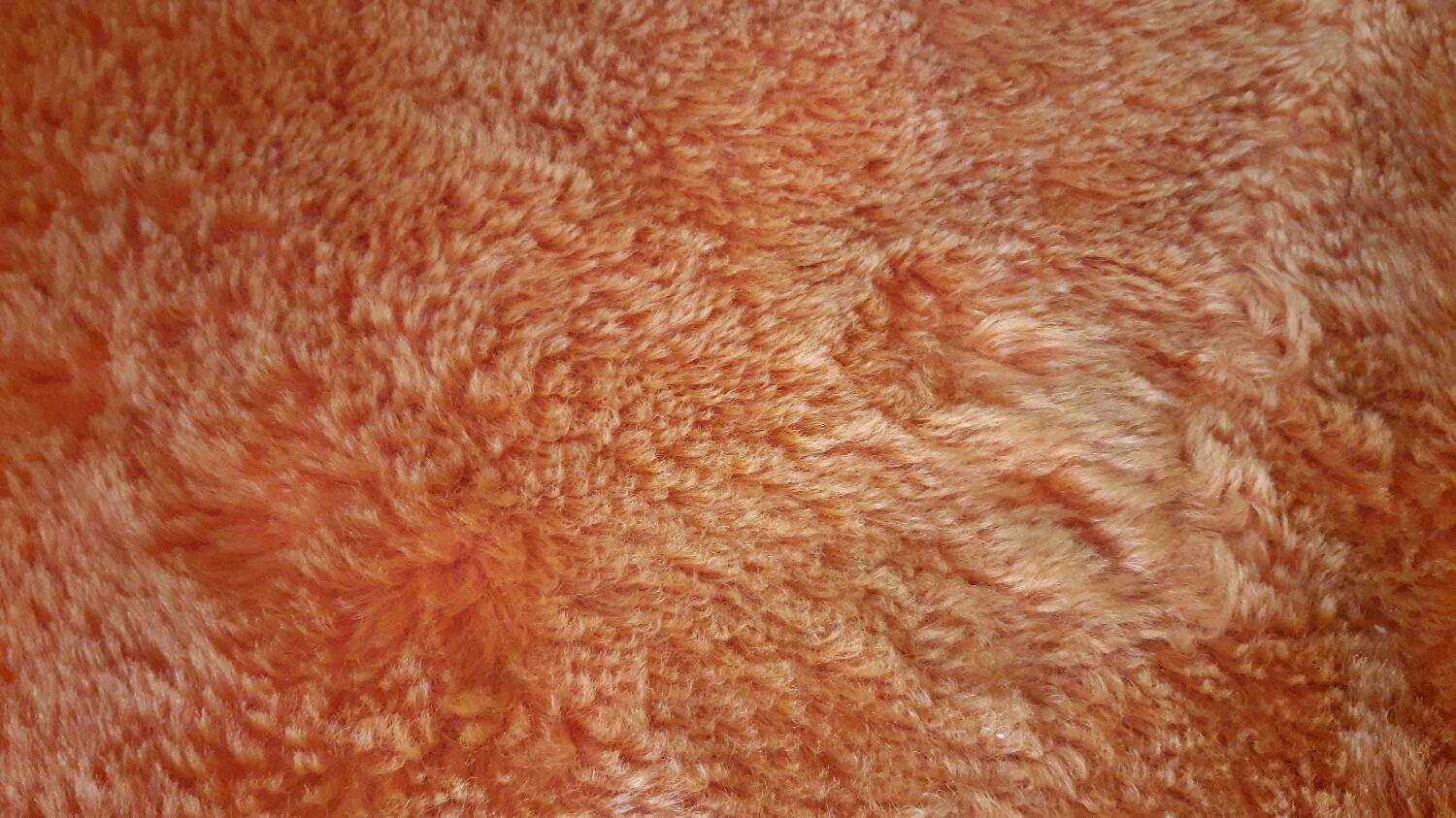 Vintage orange carpet