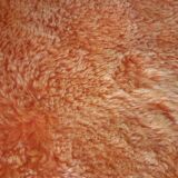 Vintage orange carpet