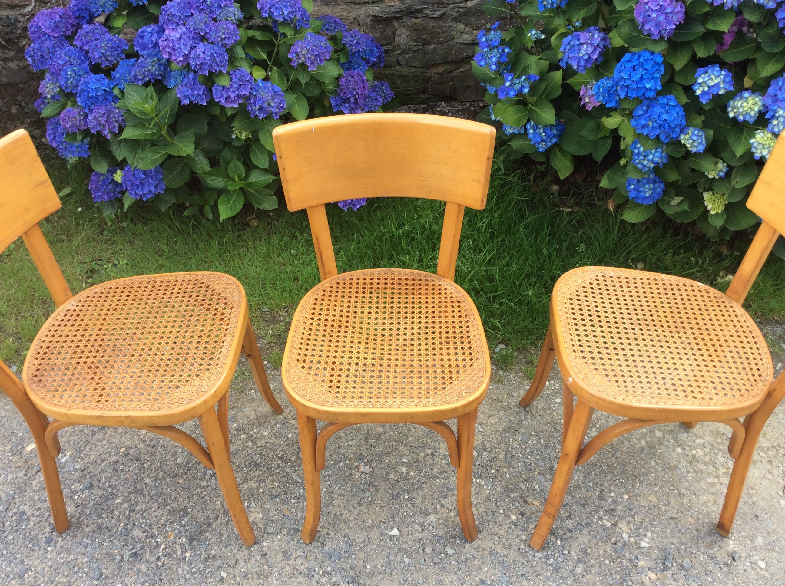 Trio de chaises cannées de style Bauman en hêtre non estampillées.
