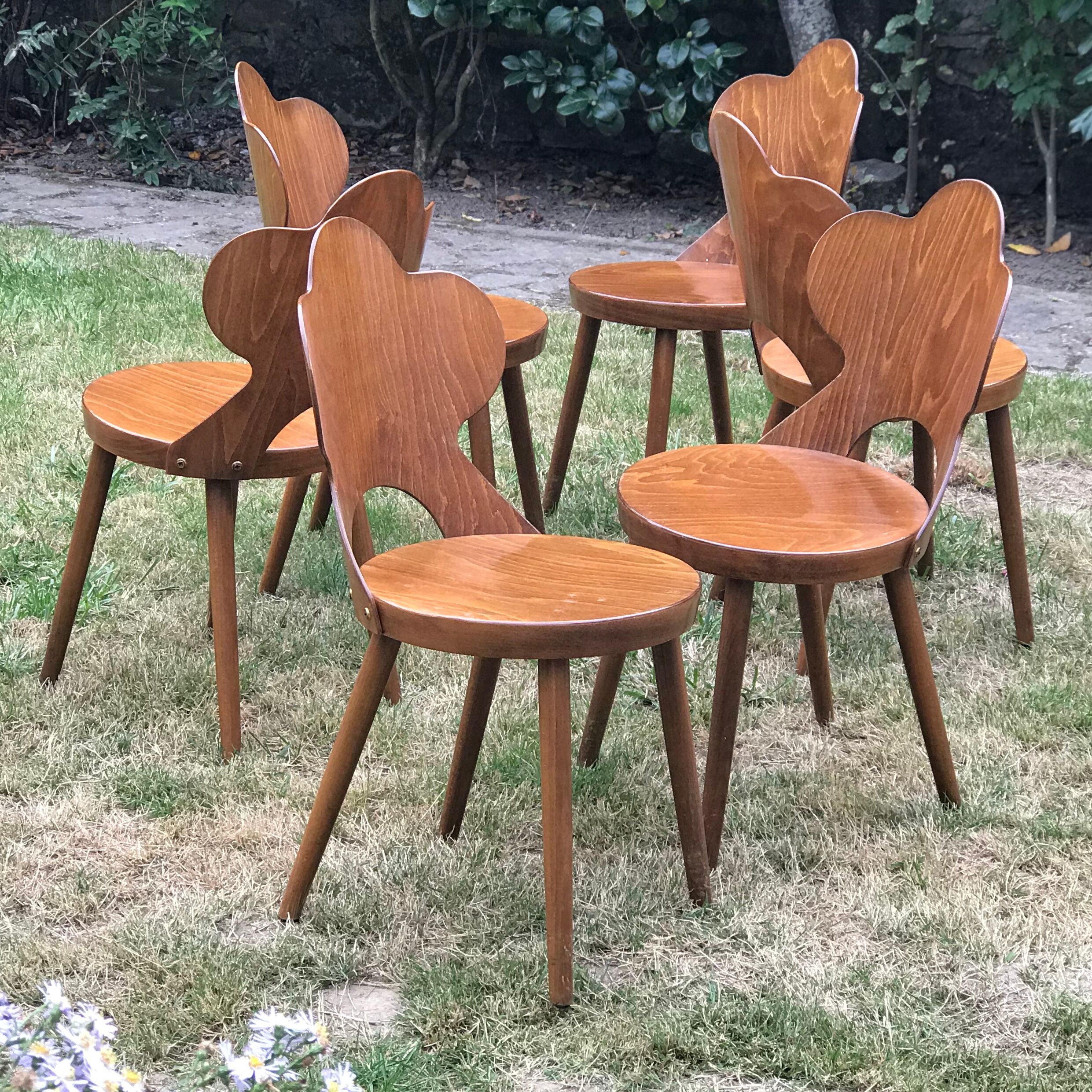 Set of 6 chairs Baumann signed model rare clover