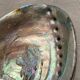 Polished abalone shell, catch-all or decorative object.