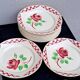 Dining table service, ironstone plates, Badonvilliers
