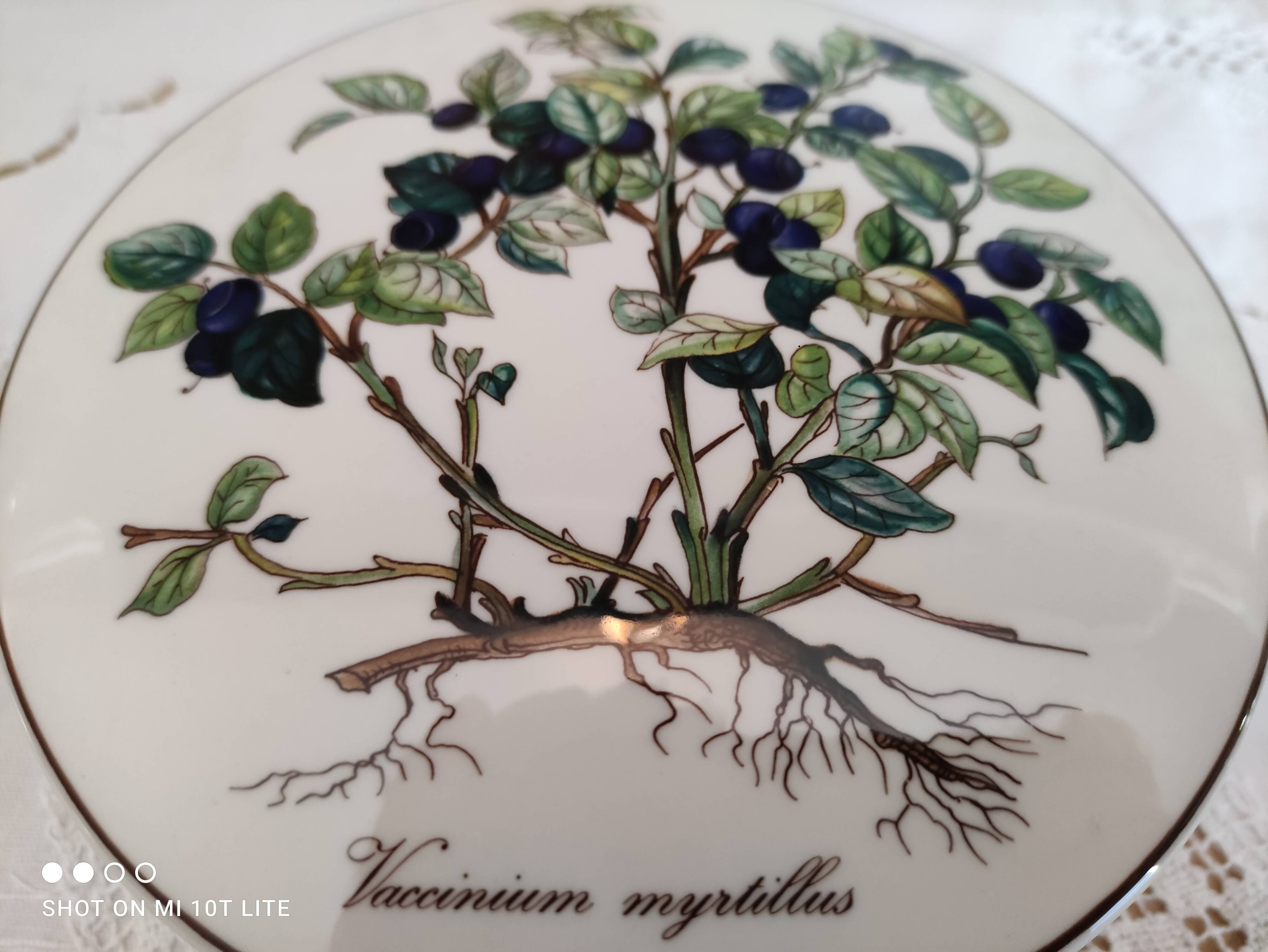 Porcelain box villeroy & boch model botanica "vaccinium myrtillus"